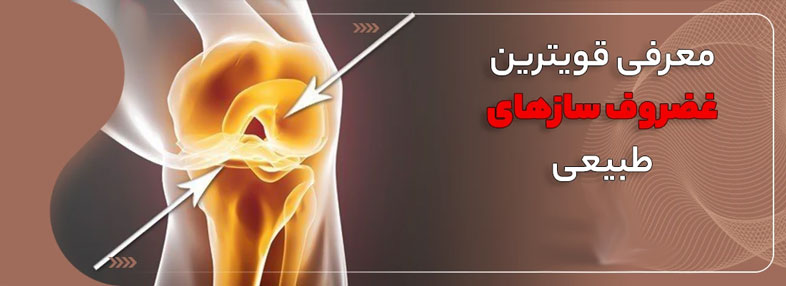 قویترین غضروف ساز طبیعی و خانگی