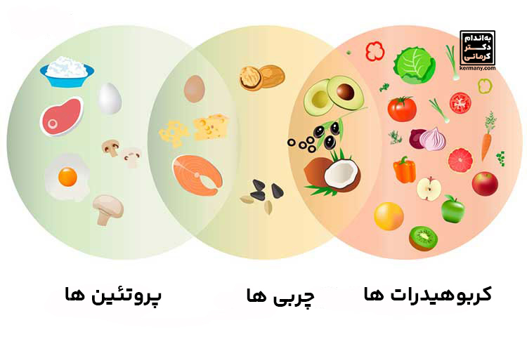 رشت درشت مغذی ها کدامند؟
