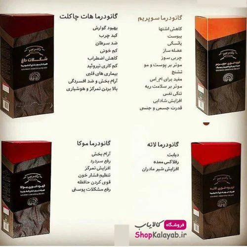 گانودرما را چگونه تهیه کنیم و از کجا بخیریم | فروشگاه کالایاب
