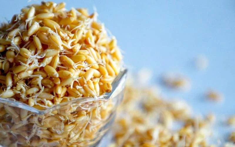پودر جوانه گندم و درمان مشکلات پوستی