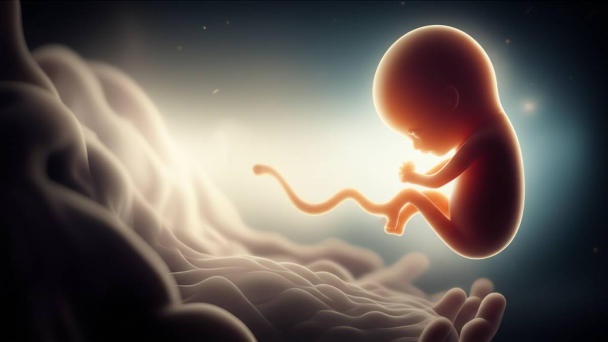 حقیقت روح جنین یک ماهه | آیا روح دارد؟