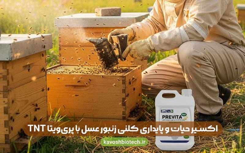 اکسیر حیات و پایداری کلنی زنبور عسل با پری‌ویتا TNT