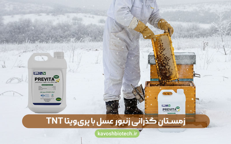 اکسیر حیات و پایداری کلنی زنبور عسل با پری‌ویتا TNT